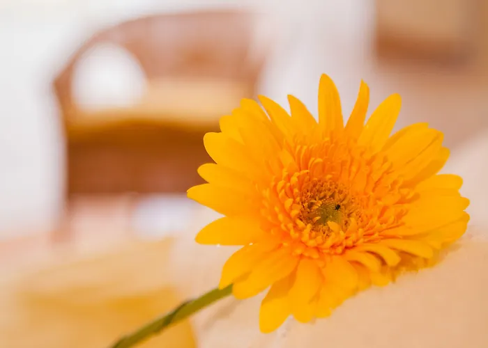 ゲストハウス Lx Center Chiado 3*