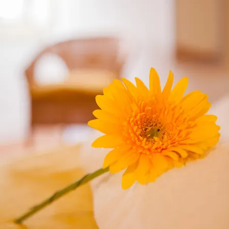 بيت ضيافة Lx Center Chiado 3*